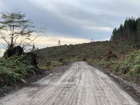 4th image of 1 Scotty Road (lot #1)