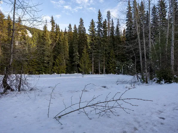 93732 E Highway 26 #101, Government Camp, OR 97028