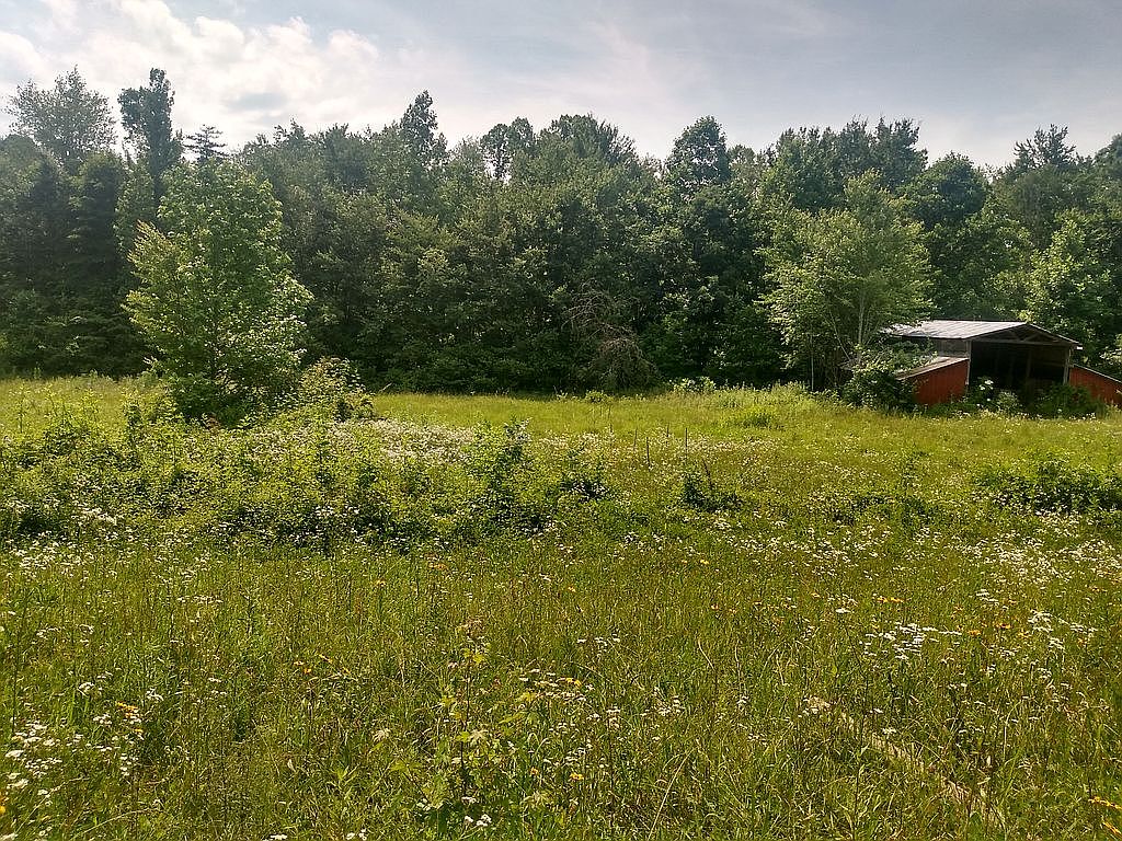 327 S Log Cabin Rd, Williamsburg, KY 40769 | Zillow