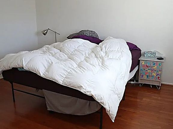 2nd image of 2629 Alma Ct