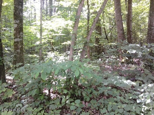 2nd image of 0 Briarcliff Rd Lot 22