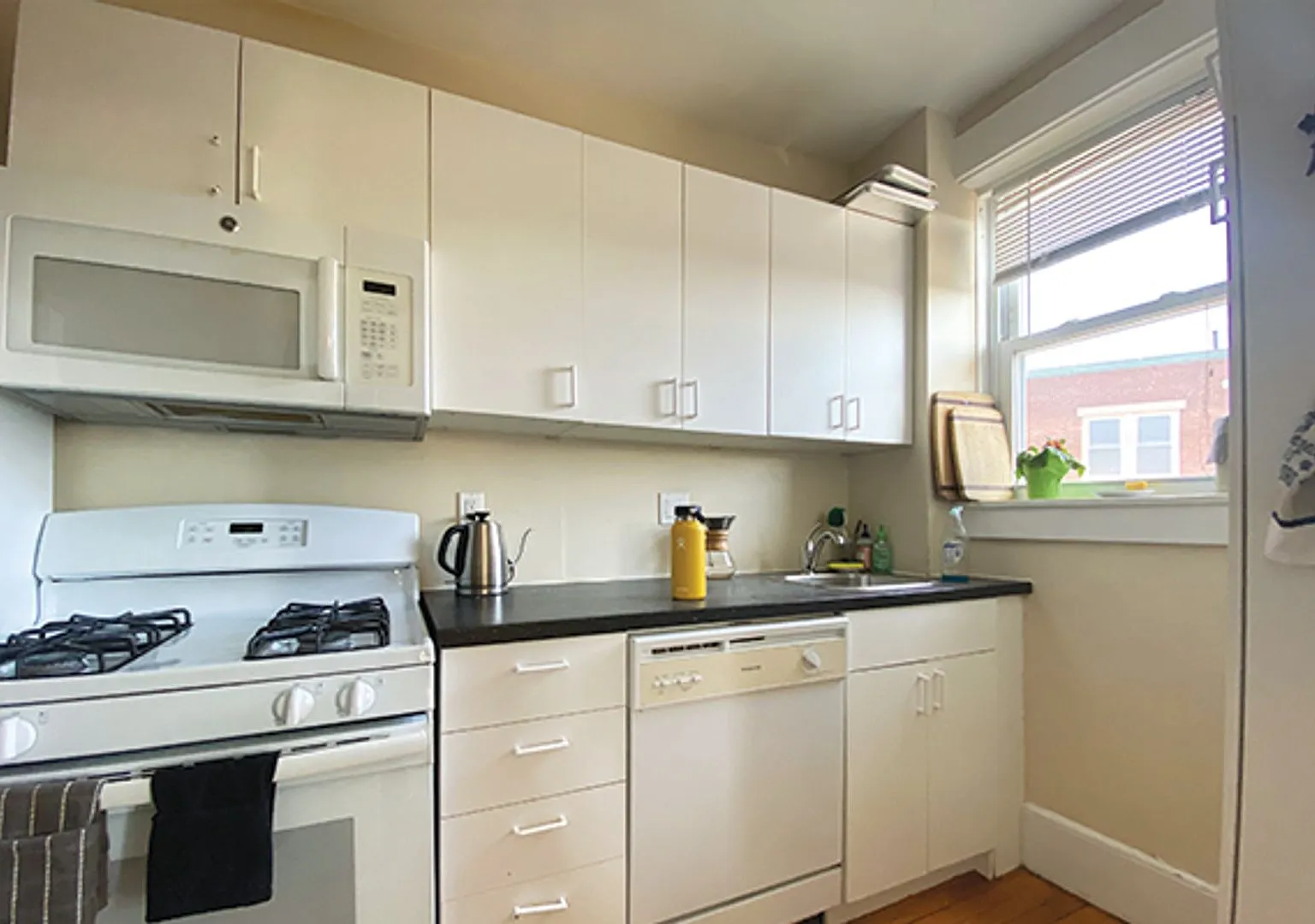 Avl 9/1 Charming 1BR in downtown Salem, updated kitchen! — Photo 3