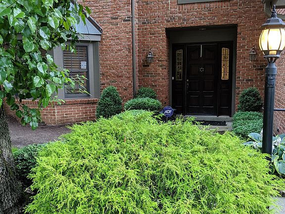 3rd image of 635 Renolda Woods Ct