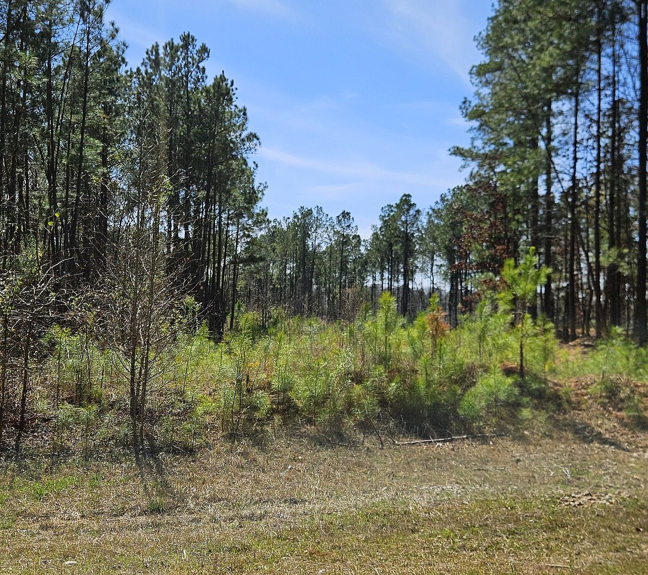 LOT 1 Penfield Rd, Greensboro, GA 30642 | MLS #10273878 | Zillow