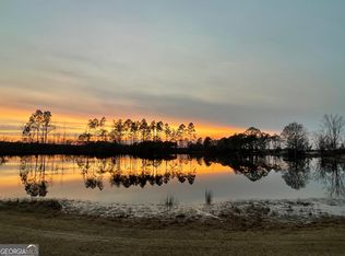 275 Marchants Dairy Rd, Rhine, GA 31077