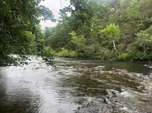 0 Nicelytown Rd #S, Clifton Forge, VA 24422