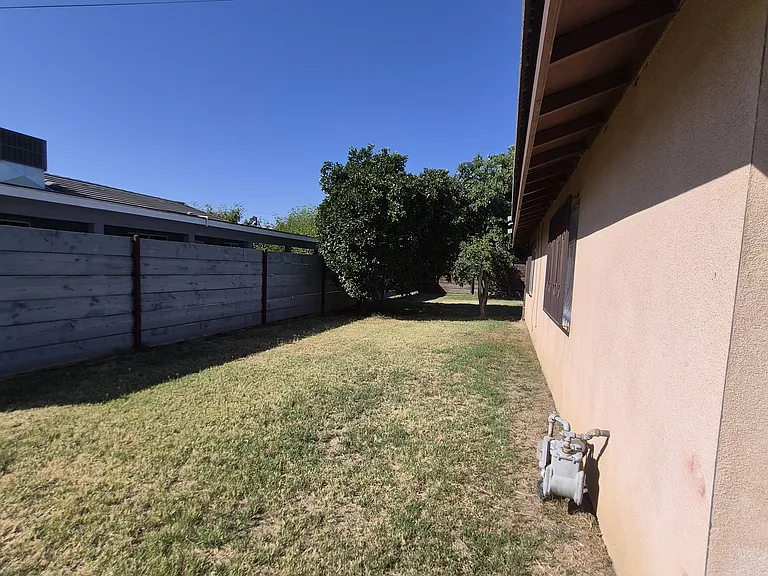 Left side Yard