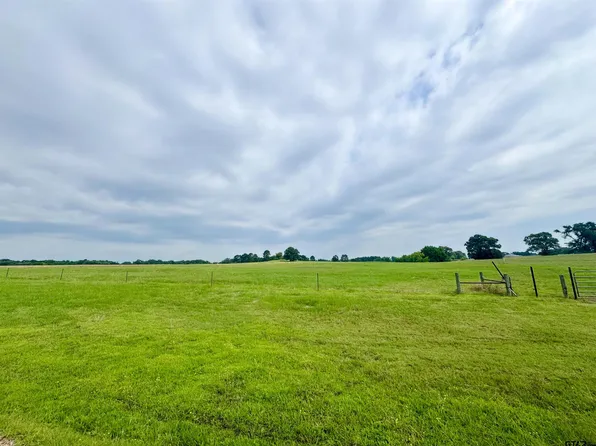 62 County Road 2320, Pittsburg, TX 75686