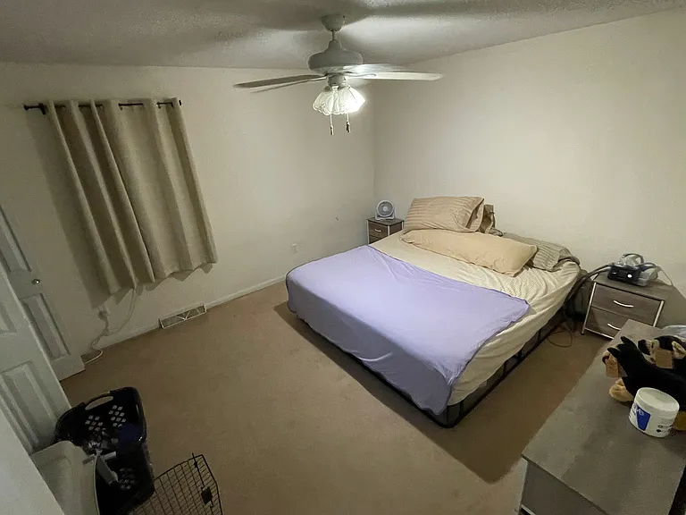 1317 Valley Creek Ln — Photo 5