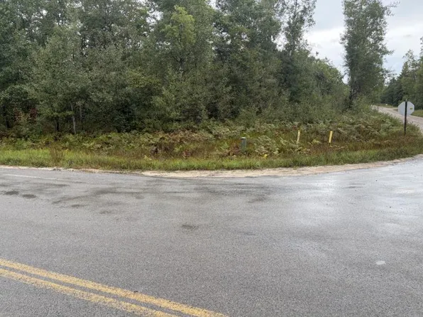 Ryan Rd, Atlanta, MI 49709