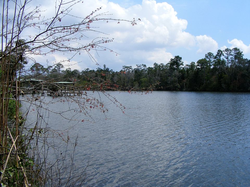 Magnolia River