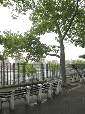 Rented by City Connections Realty | media 6