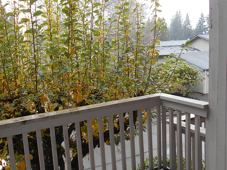 A sliding door in the living room leads to a balcony with a storage locker. Lovely view of the creek.