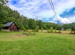 1626 Goose Island Rd, Cherry log, GA 30522