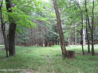 0 Airport Rd, Lot#1, Lexington, NY 12452