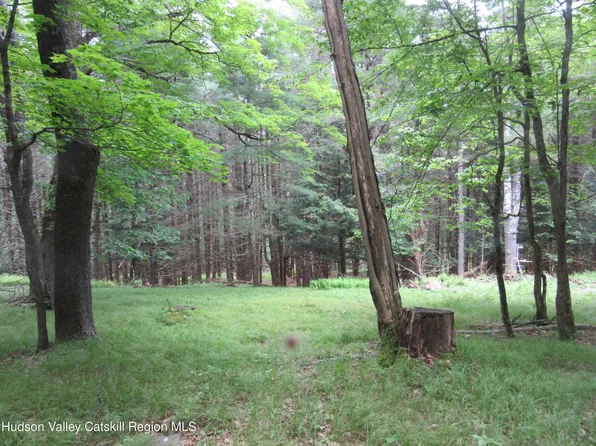 0 Airport Rd, Lot#1, Lexington, NY 12452