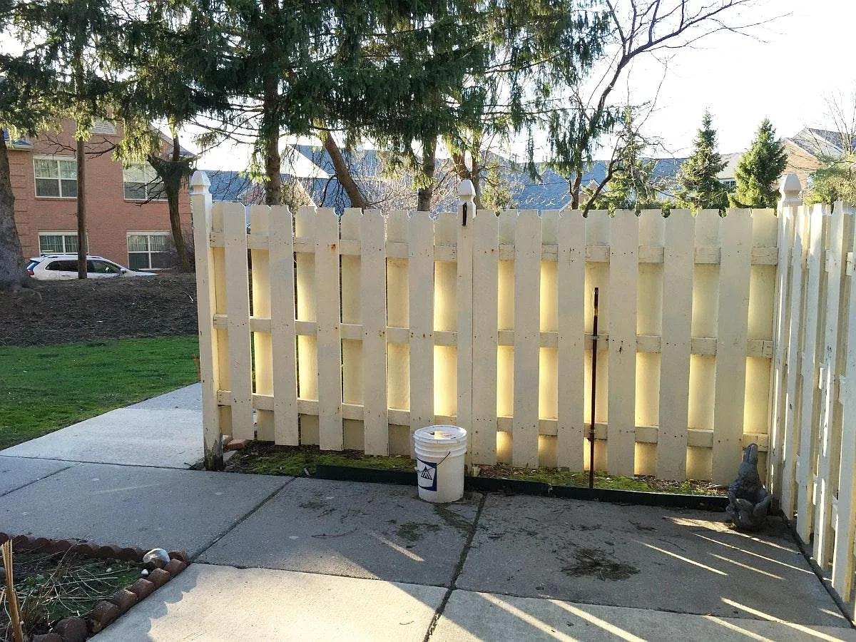 2 bed, 1229 sqft, $1,650 — Photo 3