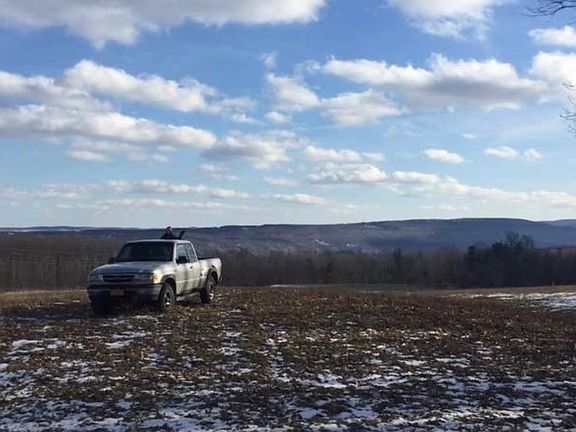 3rd image of 4765 Seneca Point Rd Lot 2