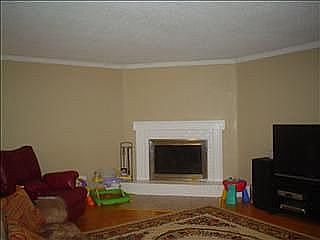 Fireplace/Shiney Hardwoods