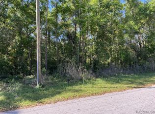 8000 E Partridge Ln, Floral City, FL 34436