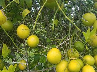 8455 Lagoon Rd, Fort Myers Beach, FL 33931