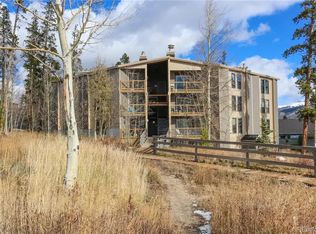 8100 Ryan Gulch Rd #107, Silverthorne, CO 80498