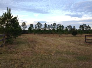 1625 Meadowville Rd, Pierson, FL 32180