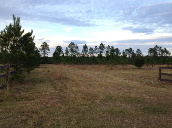 1625 Meadowville Rd, Pierson, FL 32180