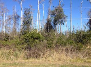20198 Paddock St, Orlando, FL 32833
