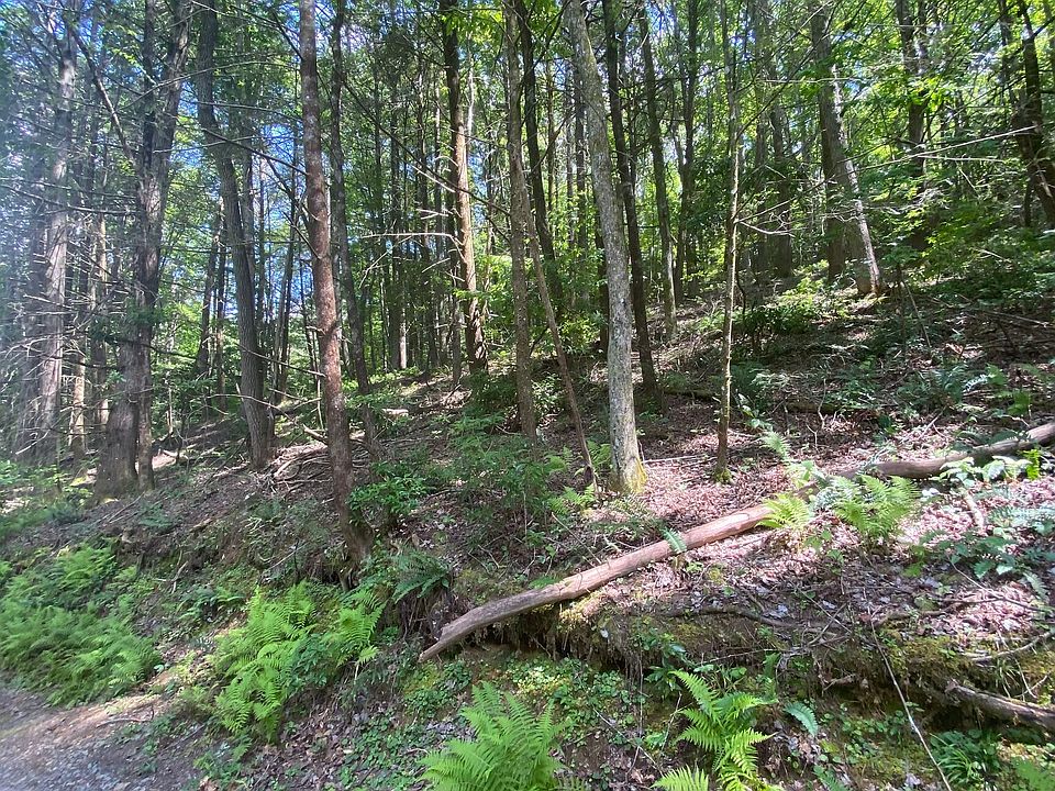 1st image of Hemlock Hemlock Trl