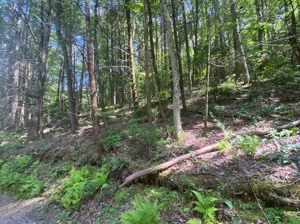 Hemlock Hemlock Trl, Blue Ridge, GA 30513