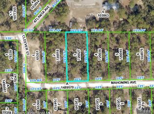 0 Mahoning Ave, Brooksville, FL 34614