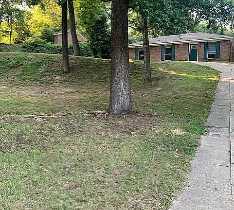 3rd image of 204 Rosemary Ln