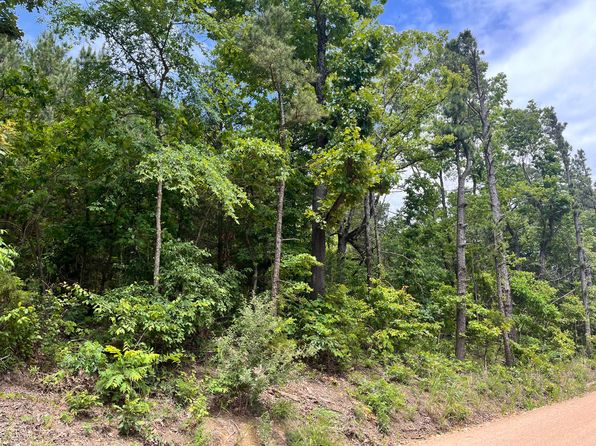 Tbd County Road 154, Brixey, MO 65618