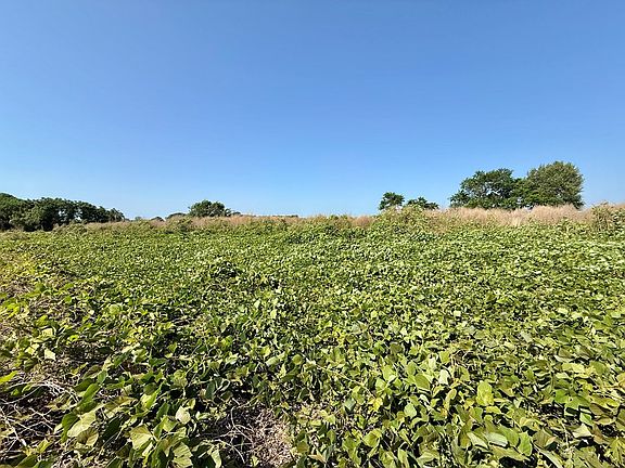 3rd image of Hollis Dairy Rd Lot 1