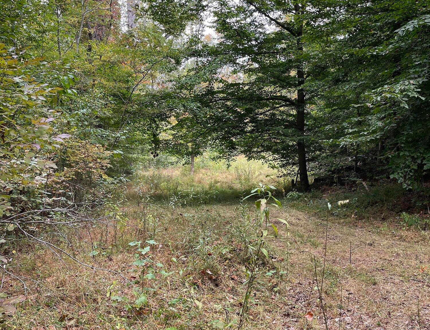 14685 Morehead Rd, Wallingford, KY 41093 Zillow