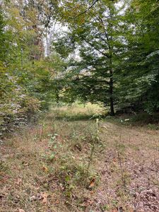 14685 Morehead Rd, Wallingford, KY, 41093