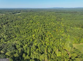 140/ACRE S On Ga Hwy #100, Buchanan, GA 30113