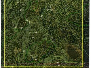 C001 W Carmel Rd, Wasilla, AK 99623