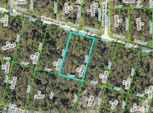 33170 Teakwood Dr, Webster, FL 33597