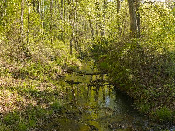 4th image of 517 Island Creek Rd