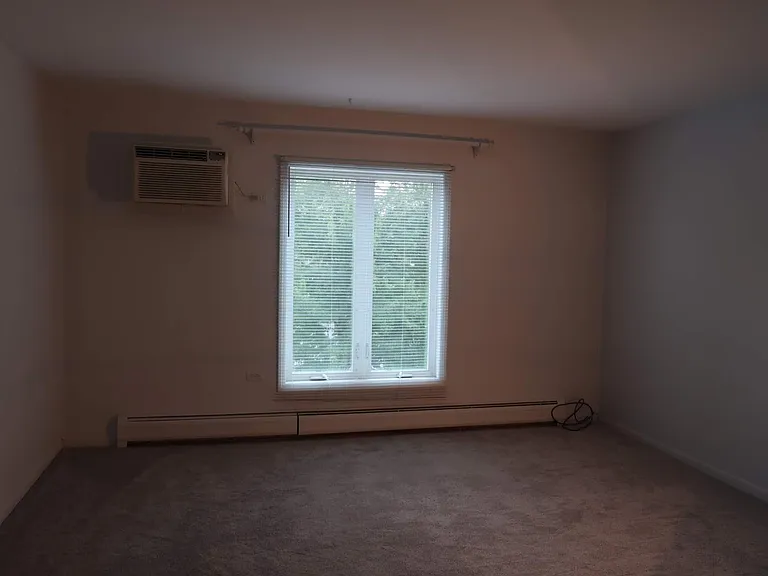 1053 W Ogden Ave #343 — Photo 7
