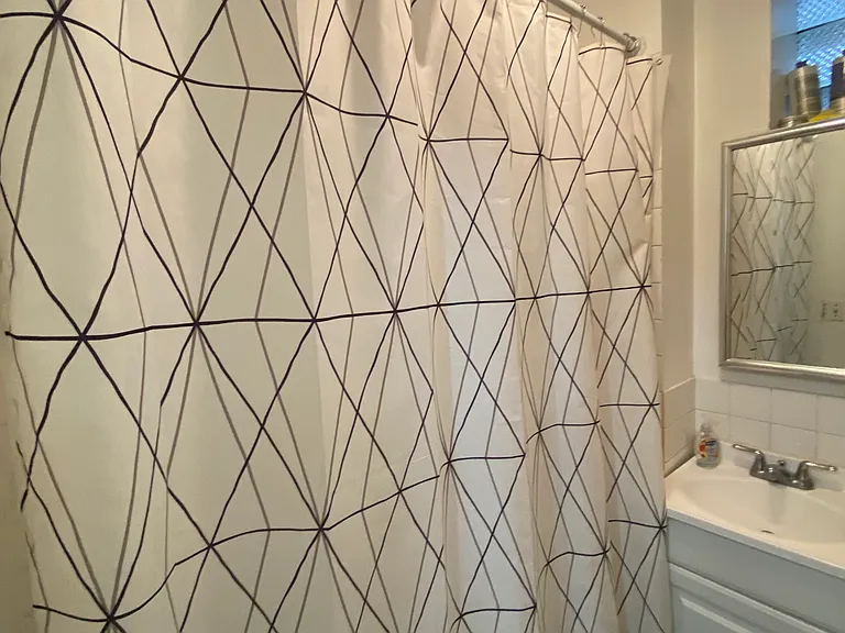 2306 W Taylor St #1 — Photo 3