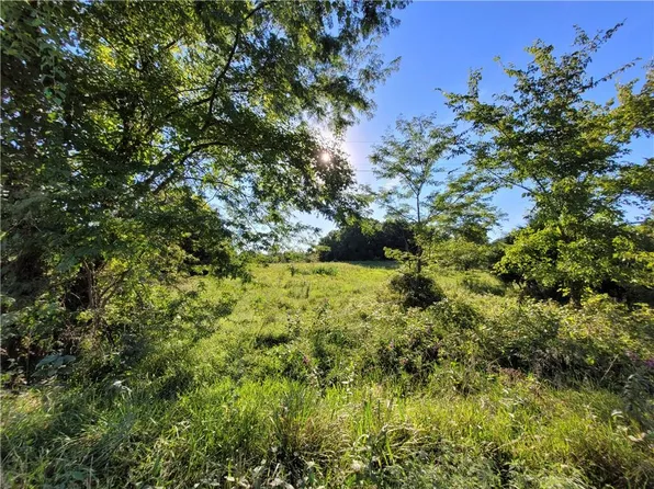 Southfork Dr, Drexel, MO 64742