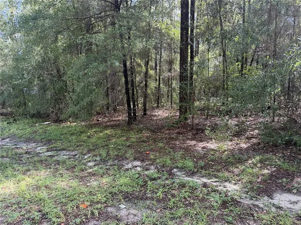 10049 N BISCAYNE DRIVE LOT 35, CITRUS SPRINGS, FL 34434