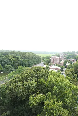 Rented by Jack B Shapiro | media 15