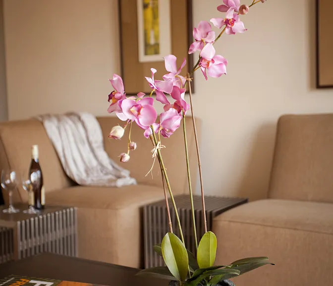 SDK Lodi Apartments — Photo 9
