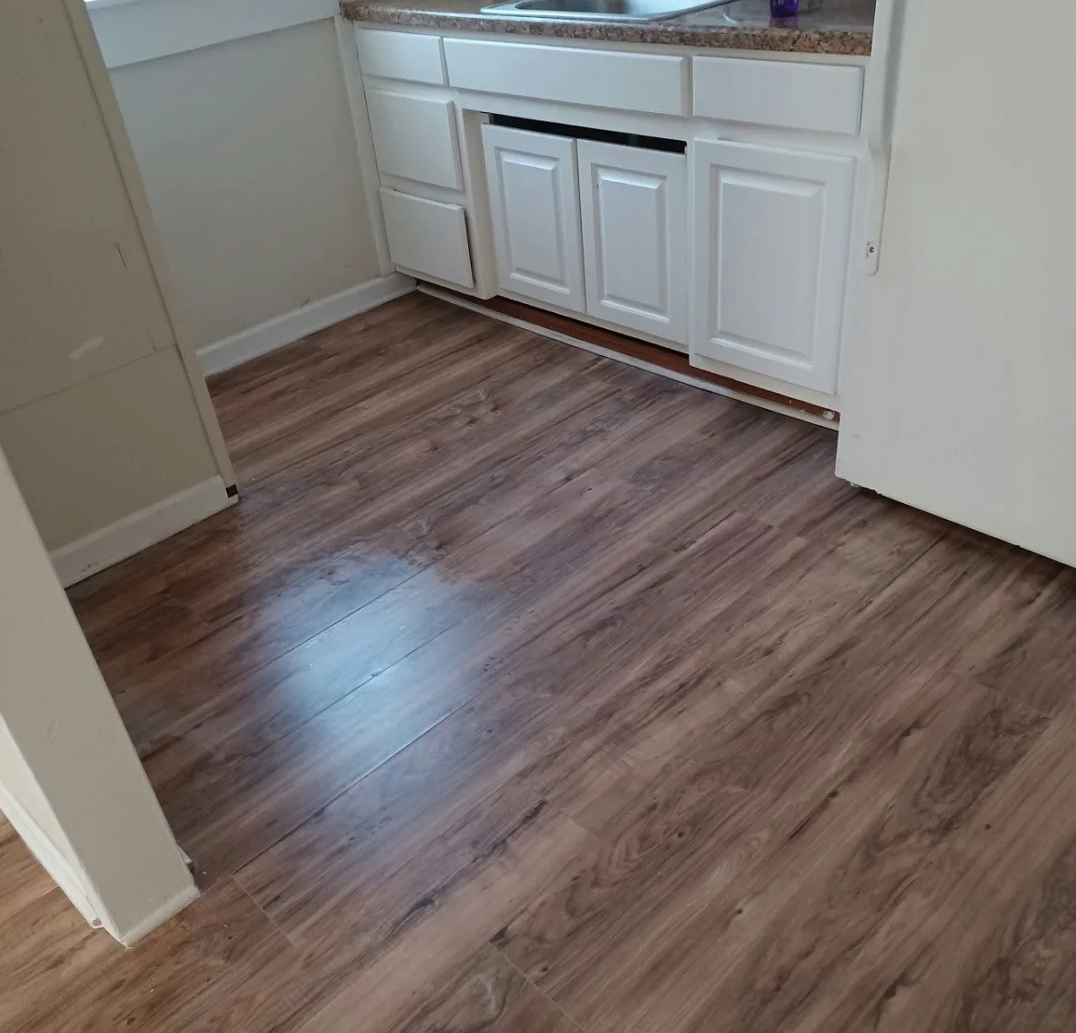 1701 Dawson Street, Unit 1 — Photo 3