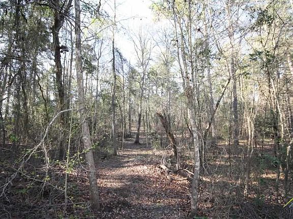 2nd image of Lot 6-c Cr 4553