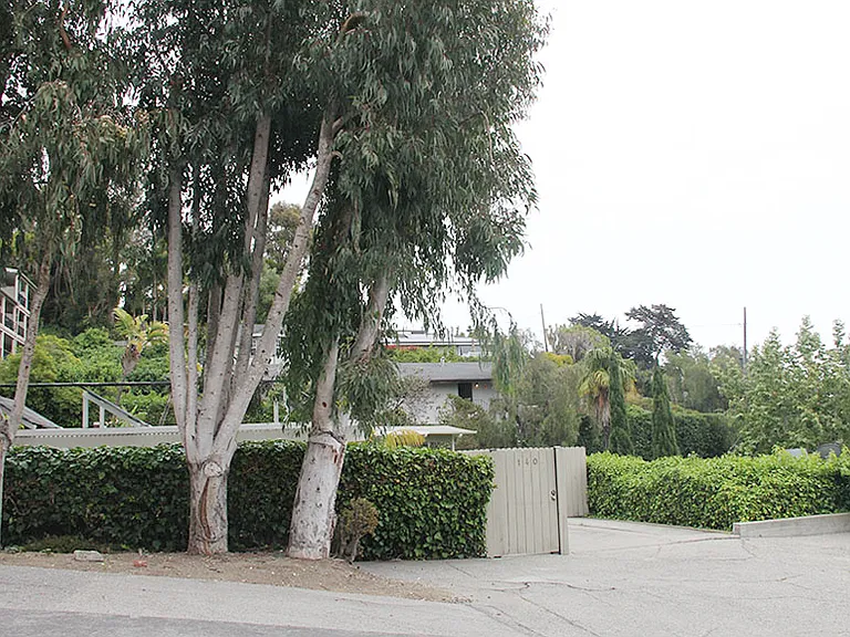 140 Evans Ave — Photo 3